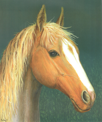Sárga